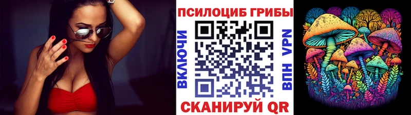 мега tor  наркотики  Макарьев  Галлюциногенные грибы Magic Shrooms 