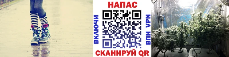 дарк нет официальный сайт  магазин    Макарьев  Конопля марихуана 